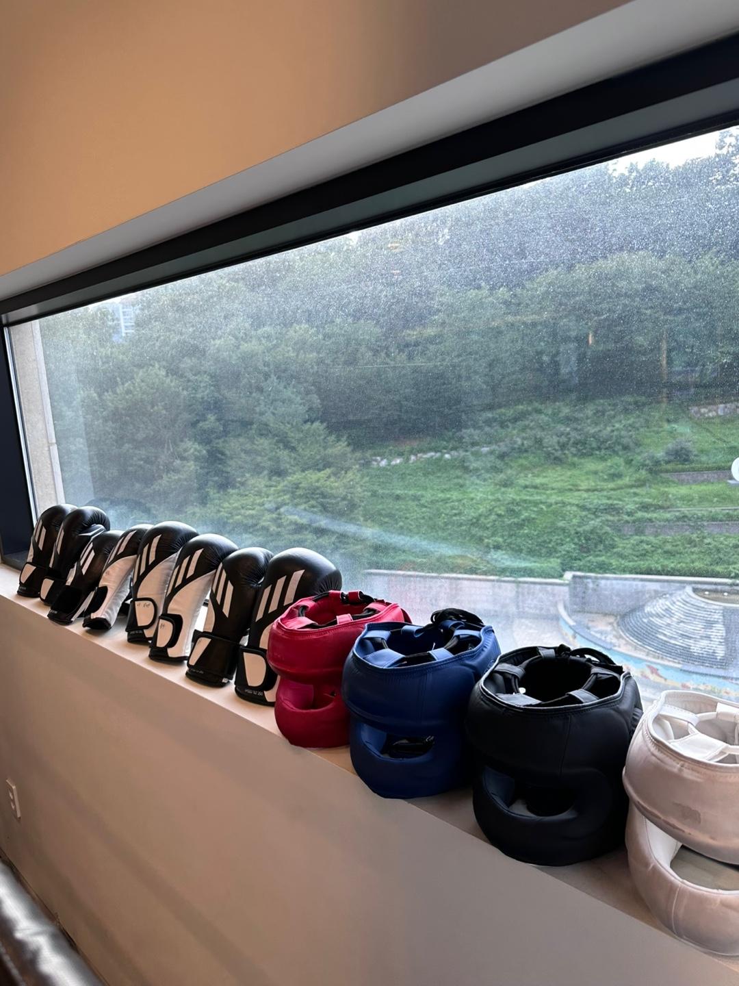 스파링 글러브&헤드기어