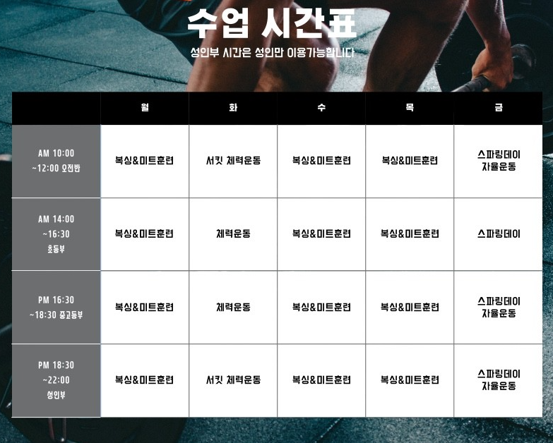 체계적인 복싱 프로그램