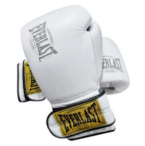 Everlast 1910 Hook&Loop Sparring Gloves